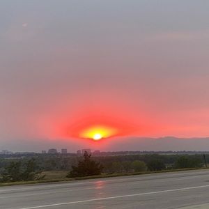 Meet your Posher, Elise